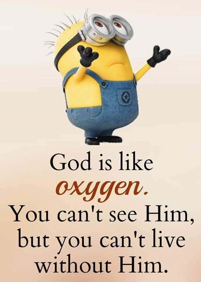 minion quotes funny