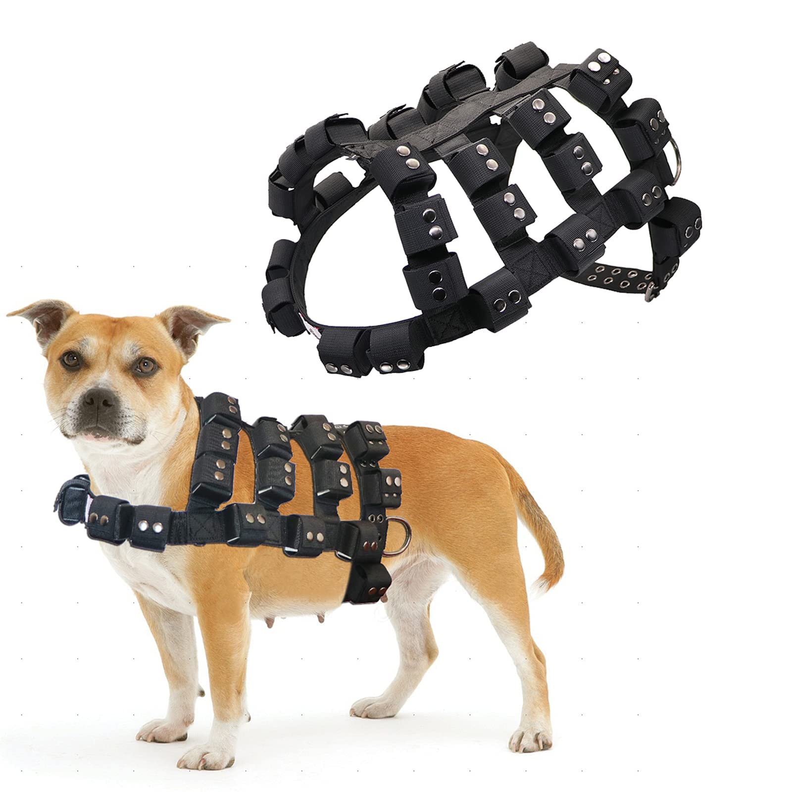 dog weight vest