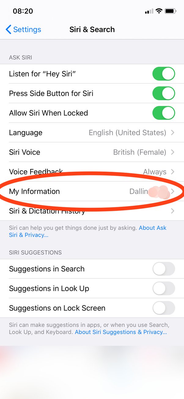 how to make siri say yes master