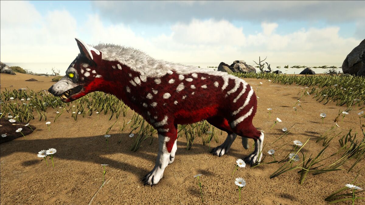 ark hyaenodon
