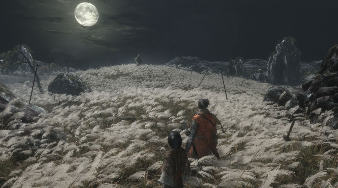 ng+ sekiro