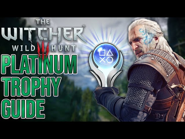 witcher 3 platinum