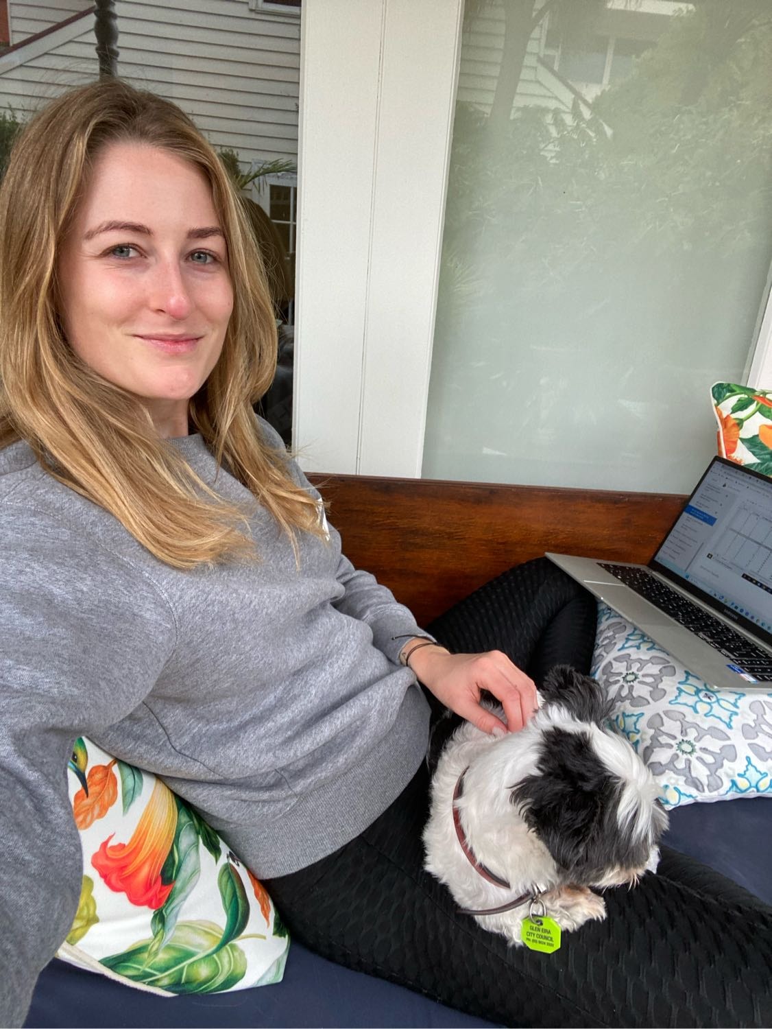 pet sitter cairns