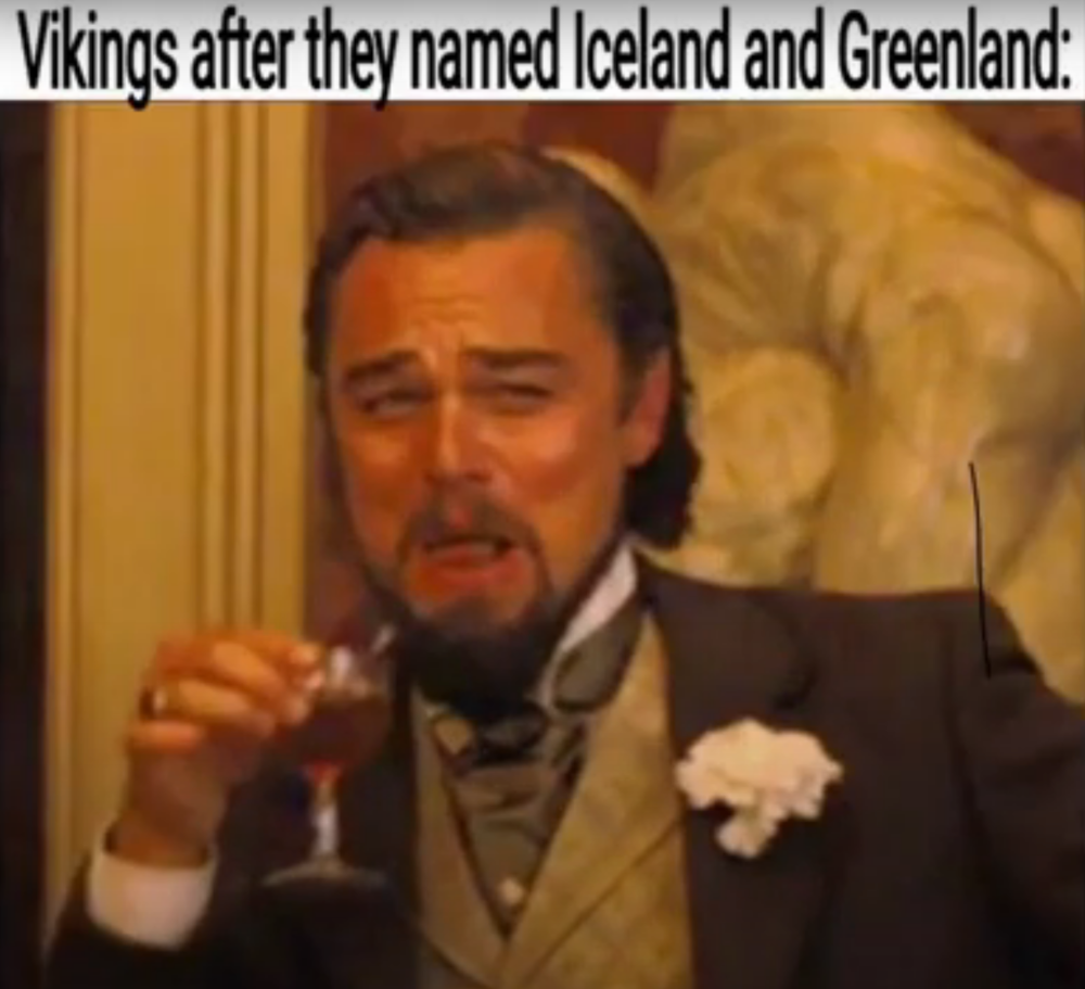 dicaprio memes