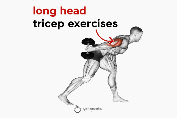 short head triceps exercises