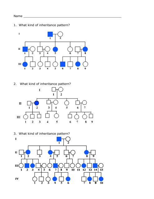 pedigree worksheet answer key pdf