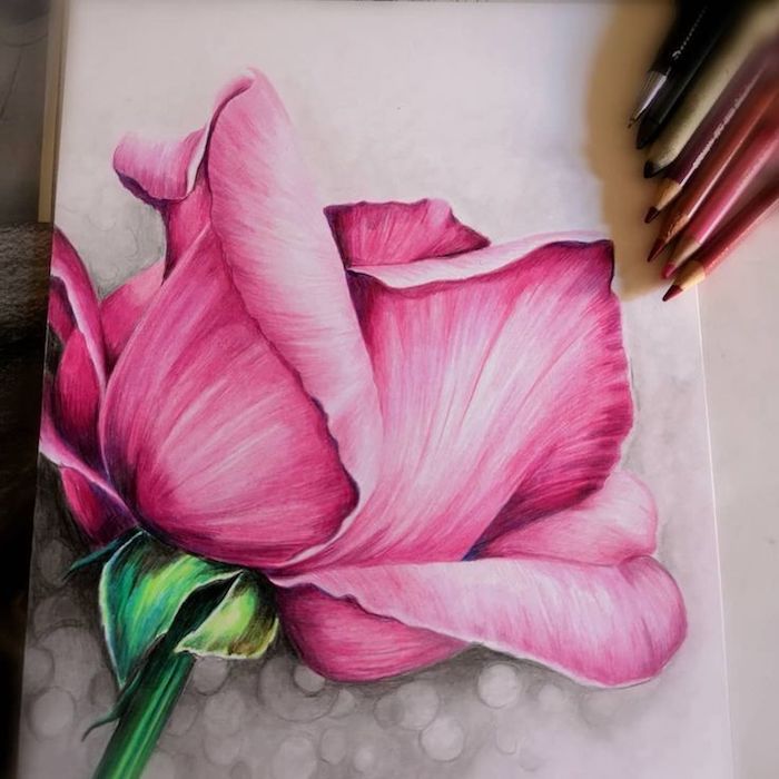 dibujar flores realistas