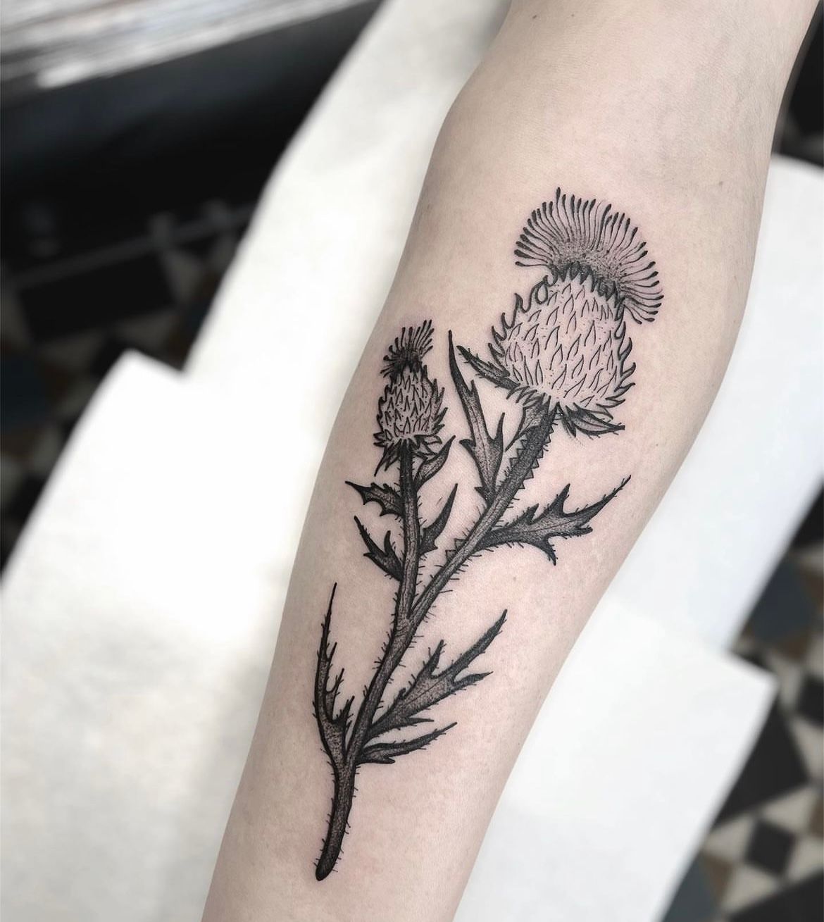 scotland thistle tattoo