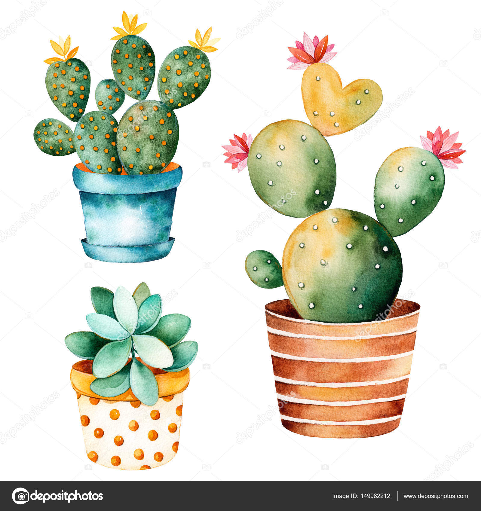 dibujo cactus acuarela