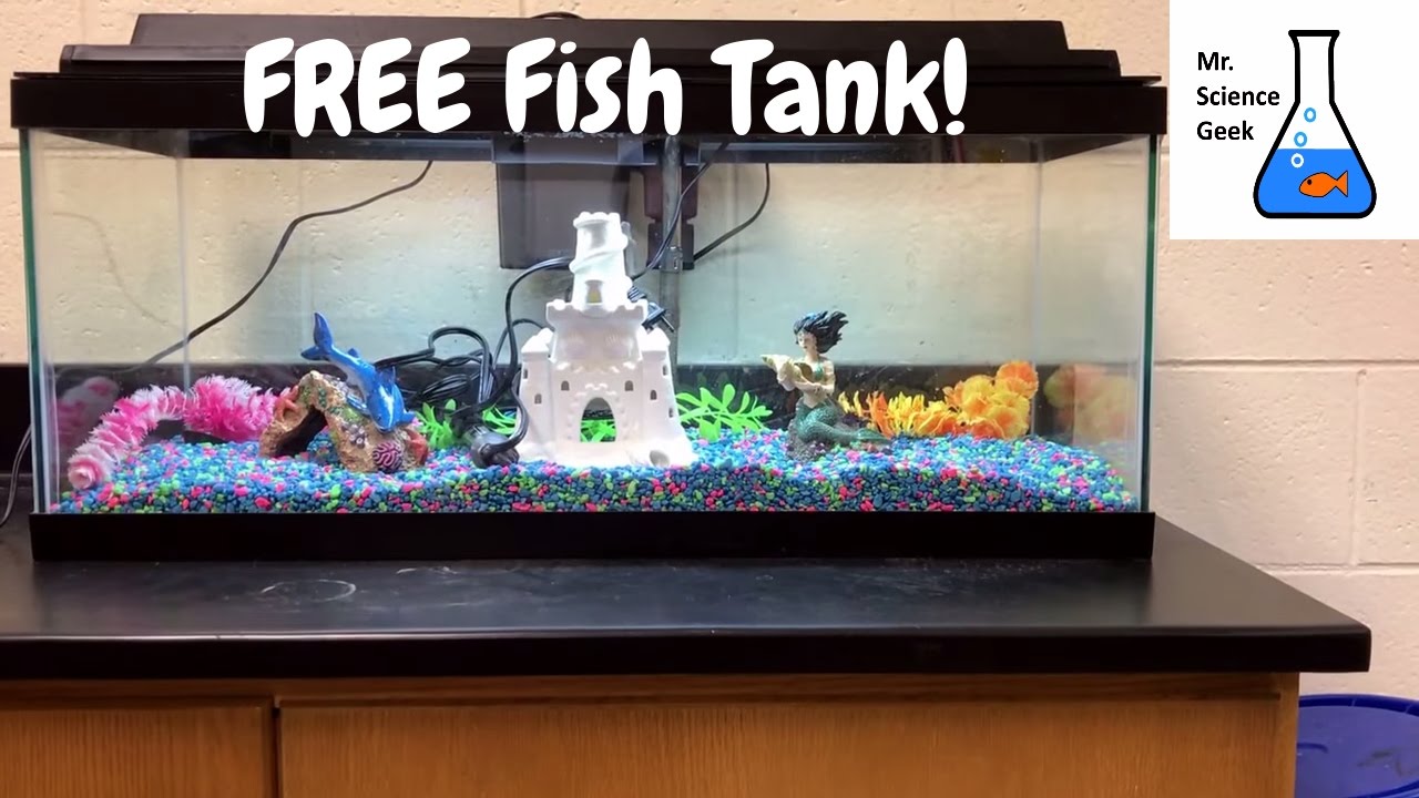 fish tanks for free