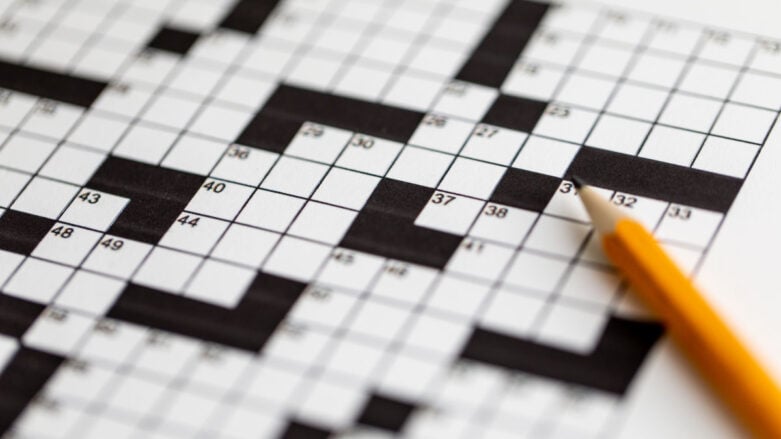 steady crossword clue