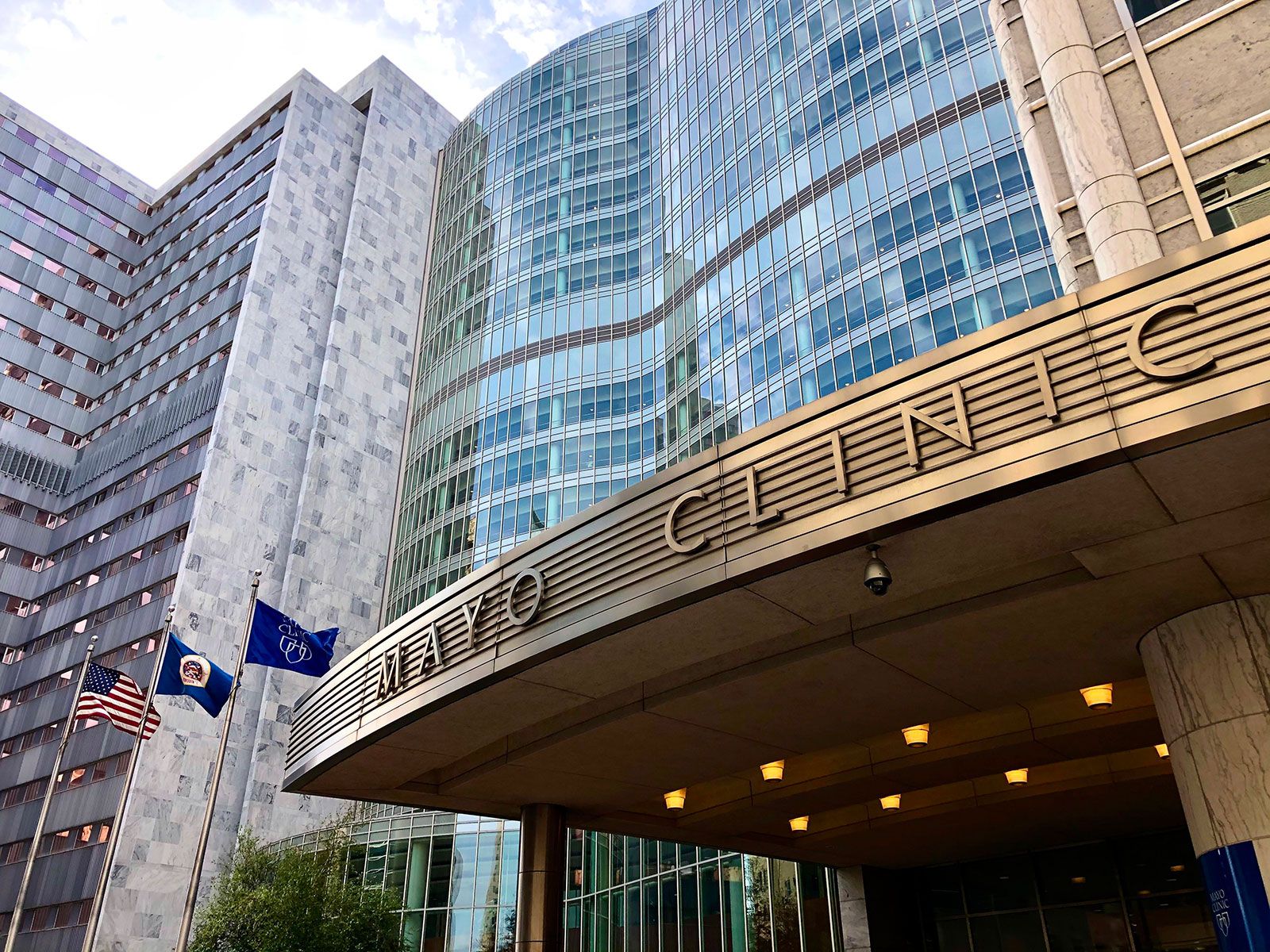 mayo clinic site