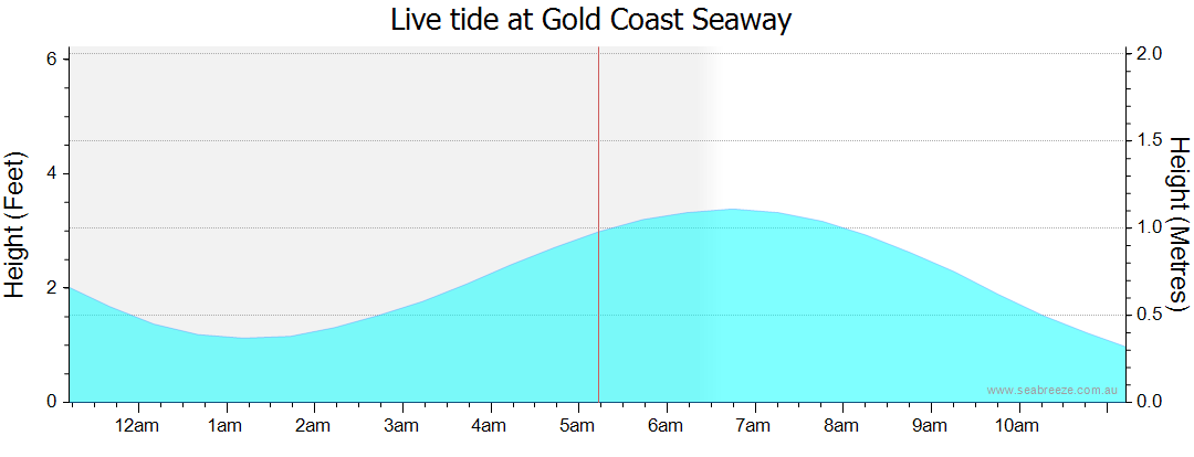 gold coast tide times