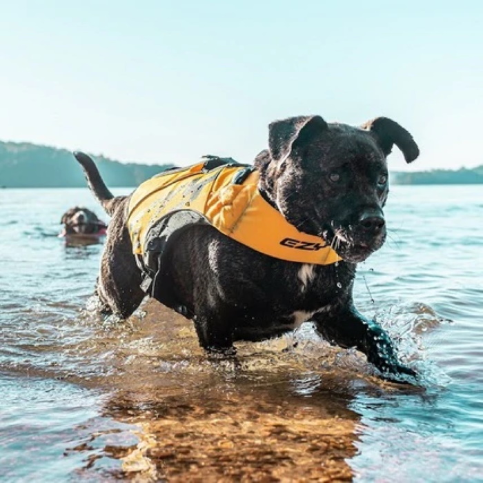 ezydog lifejacket