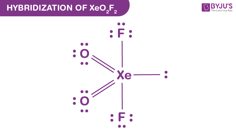 xeo2f2 lewis structure