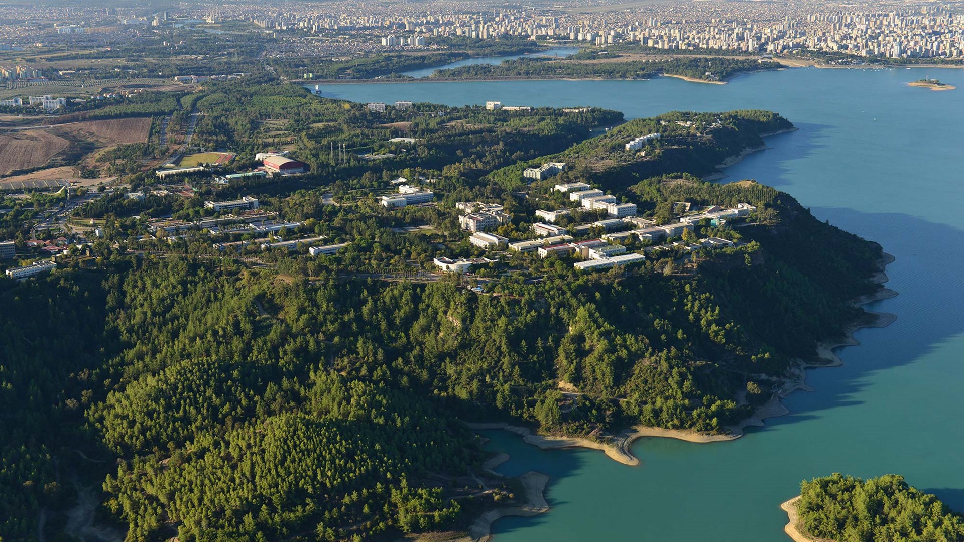 çukurova üniversitesi