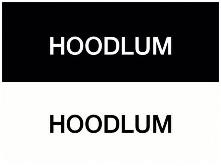 hoodlum the neighbourhood