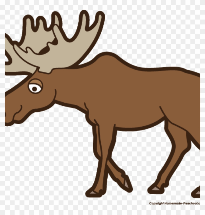 moose clipart