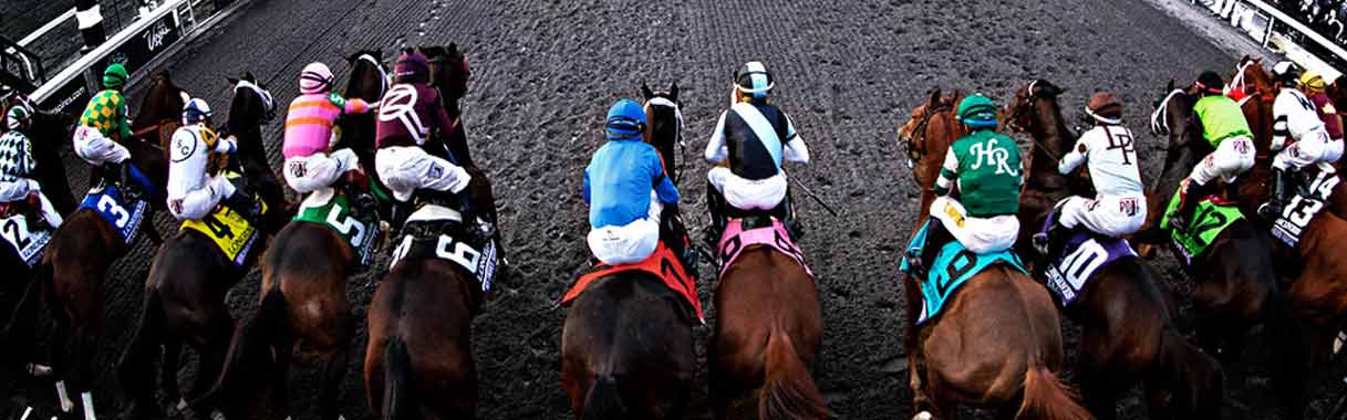 entries for santa anita park