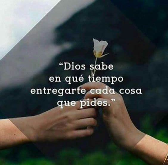 frases bonitas de dios