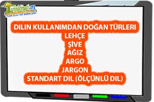 dilin kullanımından doğan türleri örnek