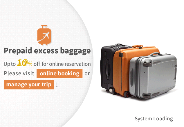 eva air baggage policy
