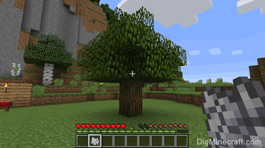 tree grow minecraft