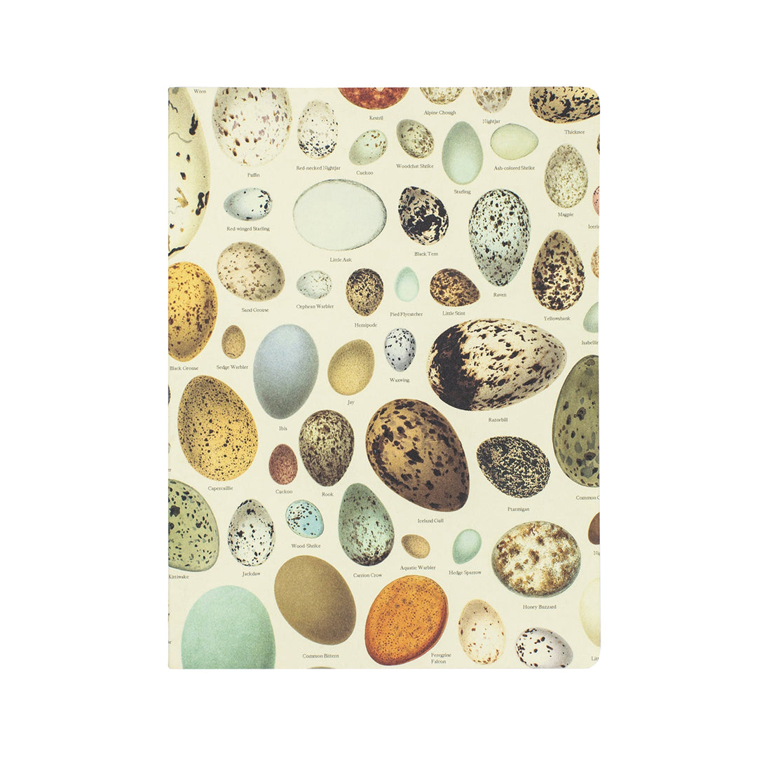 egg notebook