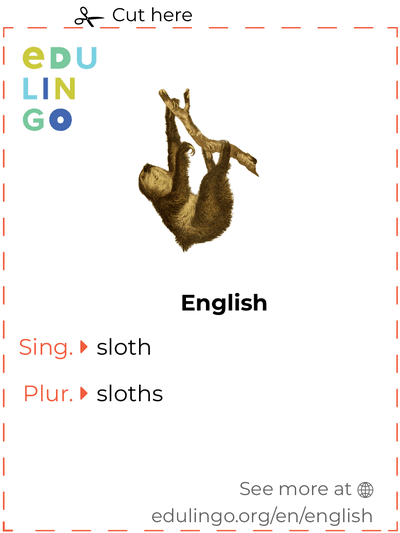 sloth pronunciation