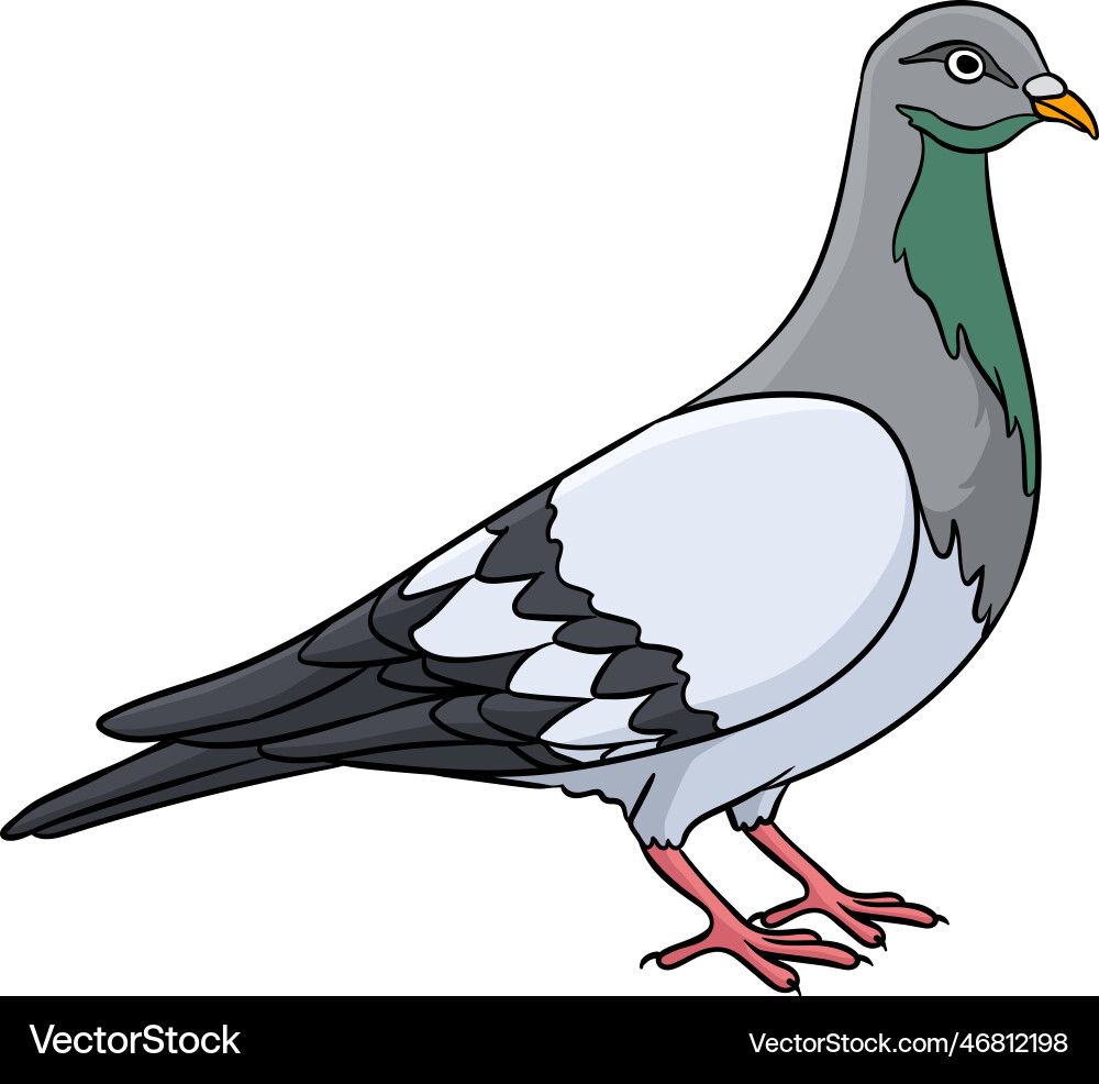 pigeon clipart