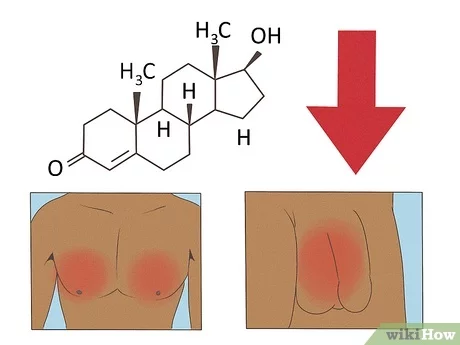 side effects dianabol