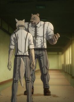 beastars riz