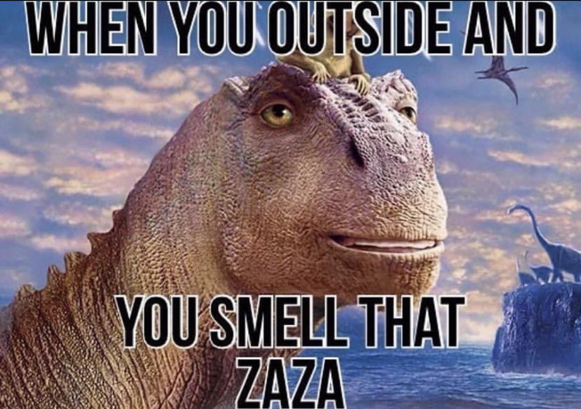 zaza meme