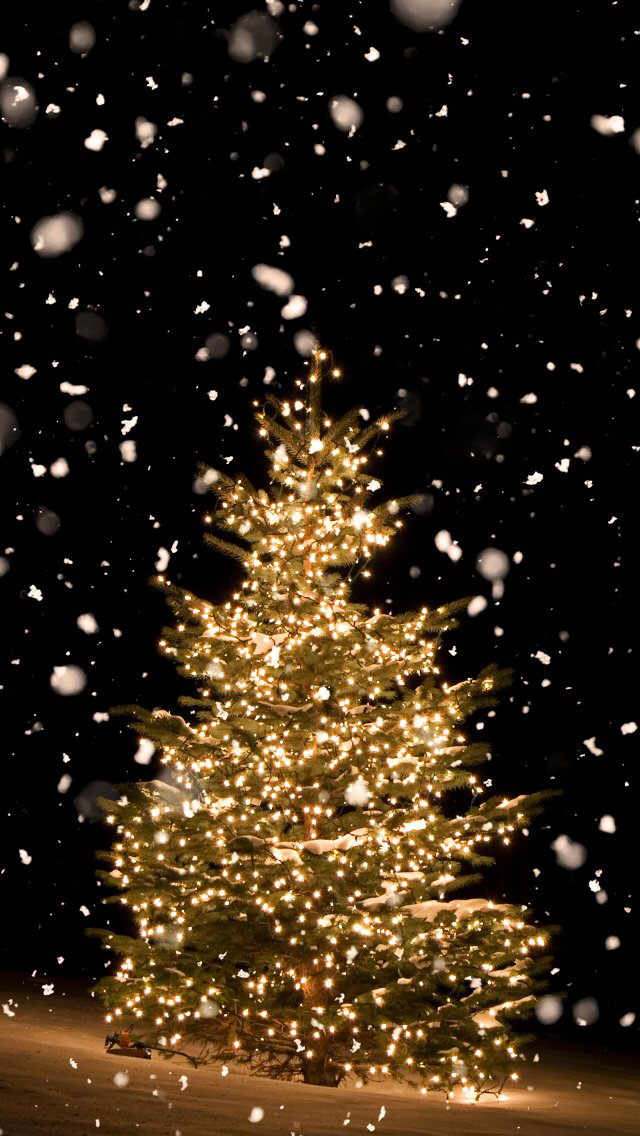 christmas tree background iphone