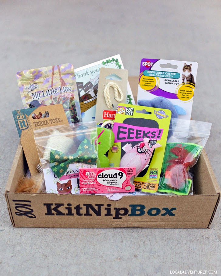 kitnipbox