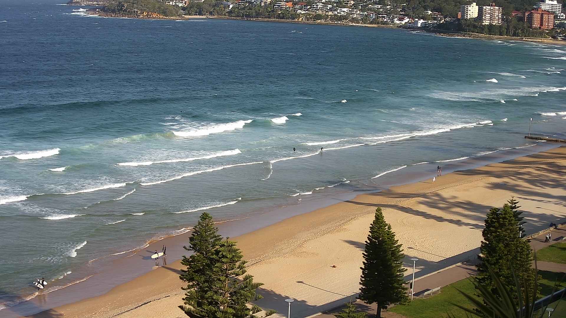 manly surf cam