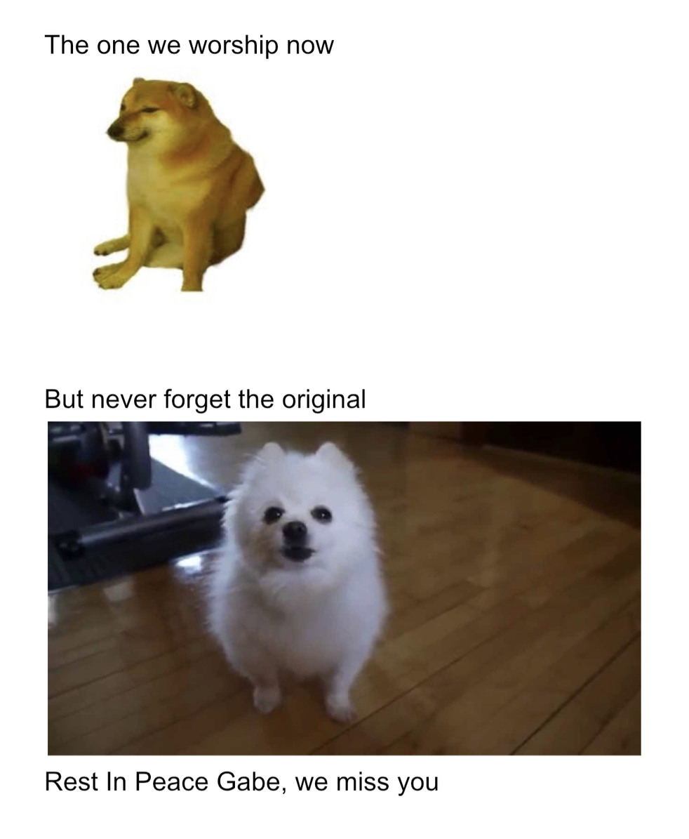 gabe the dog meme