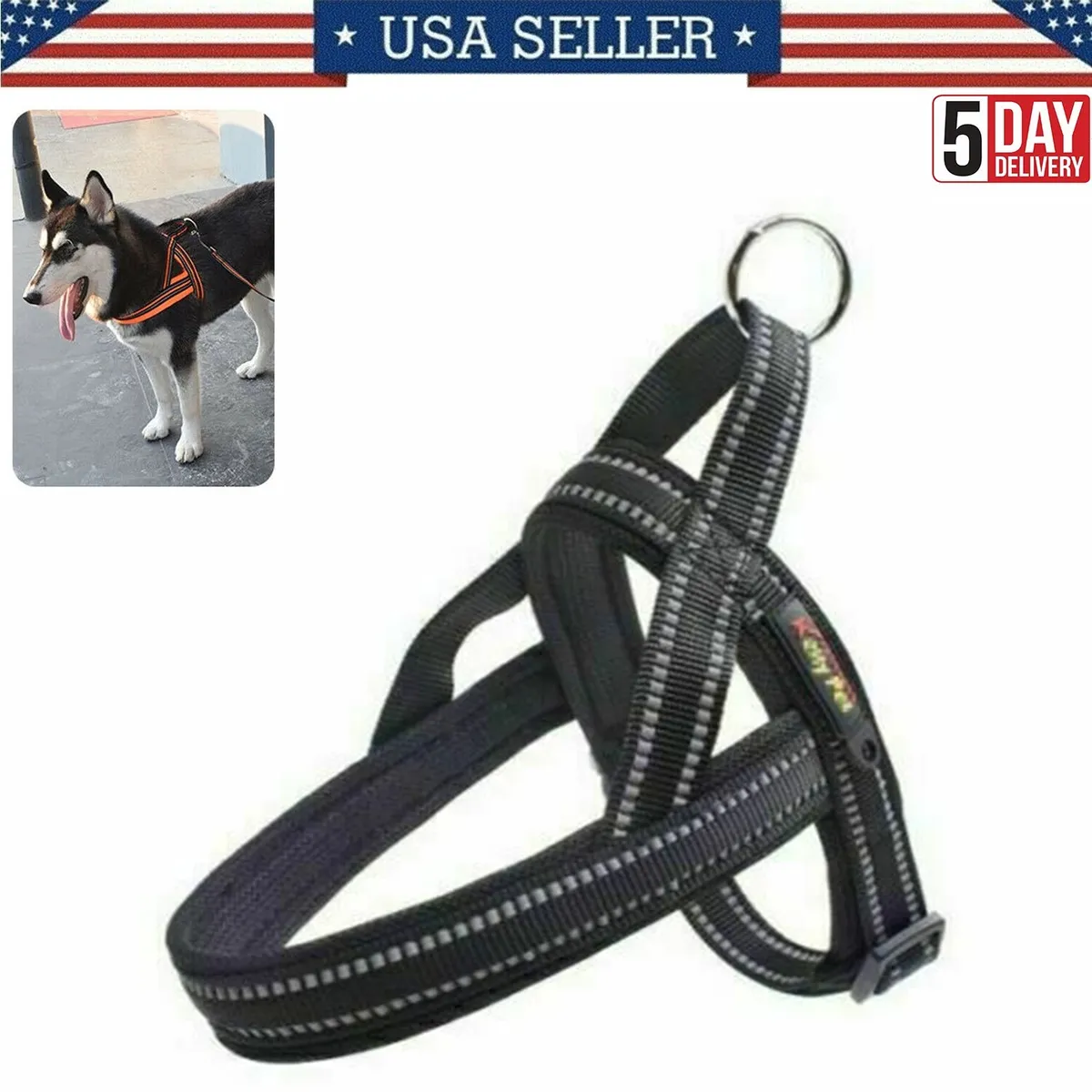 dog rope belt
