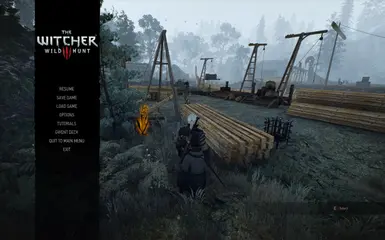 change fov witcher 3