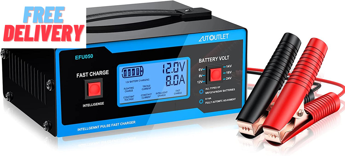 8 volt battery charger