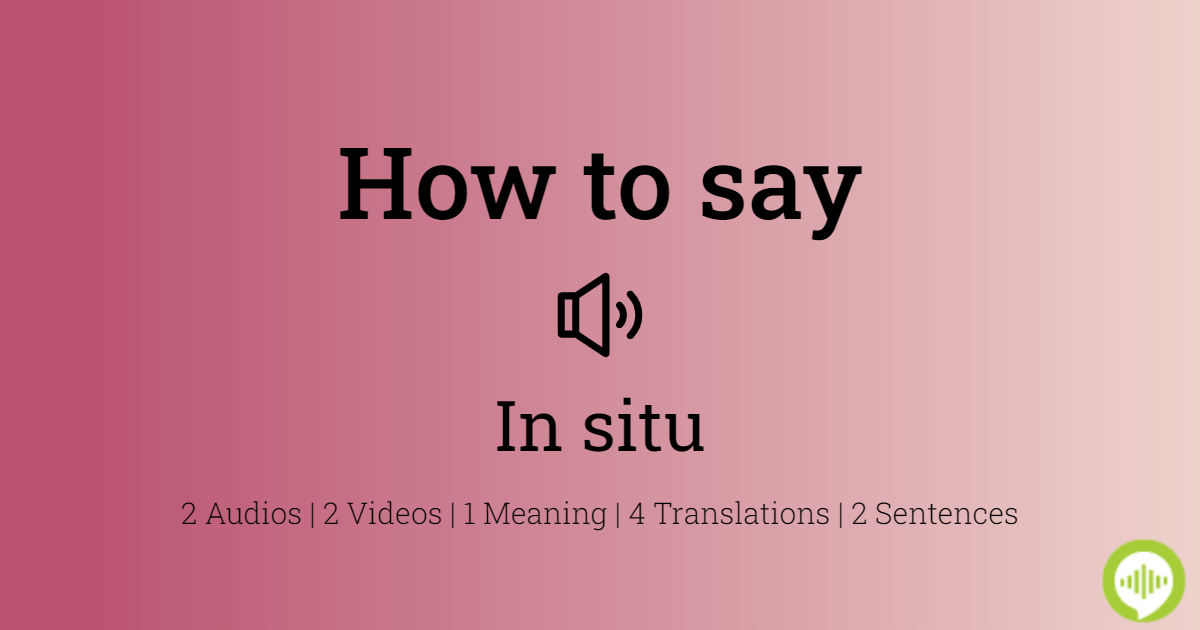 in situ pronunciation