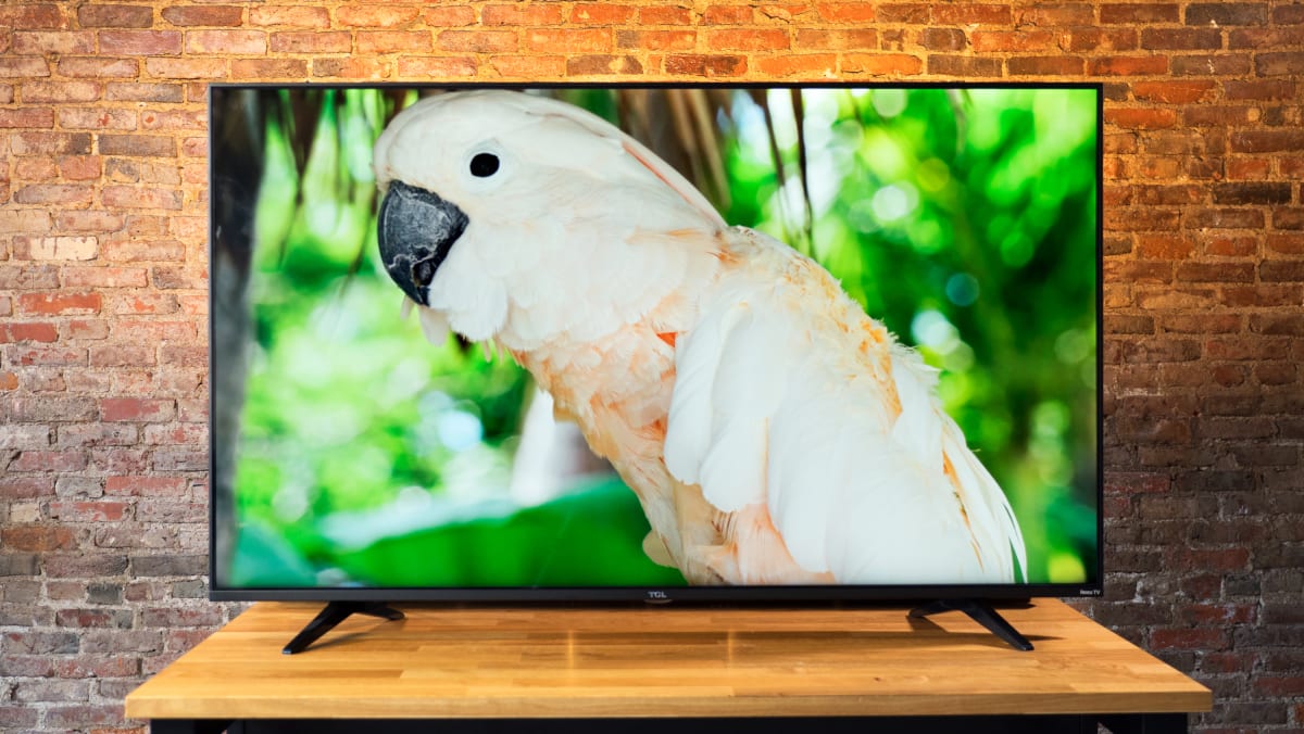 tcl 5 series review