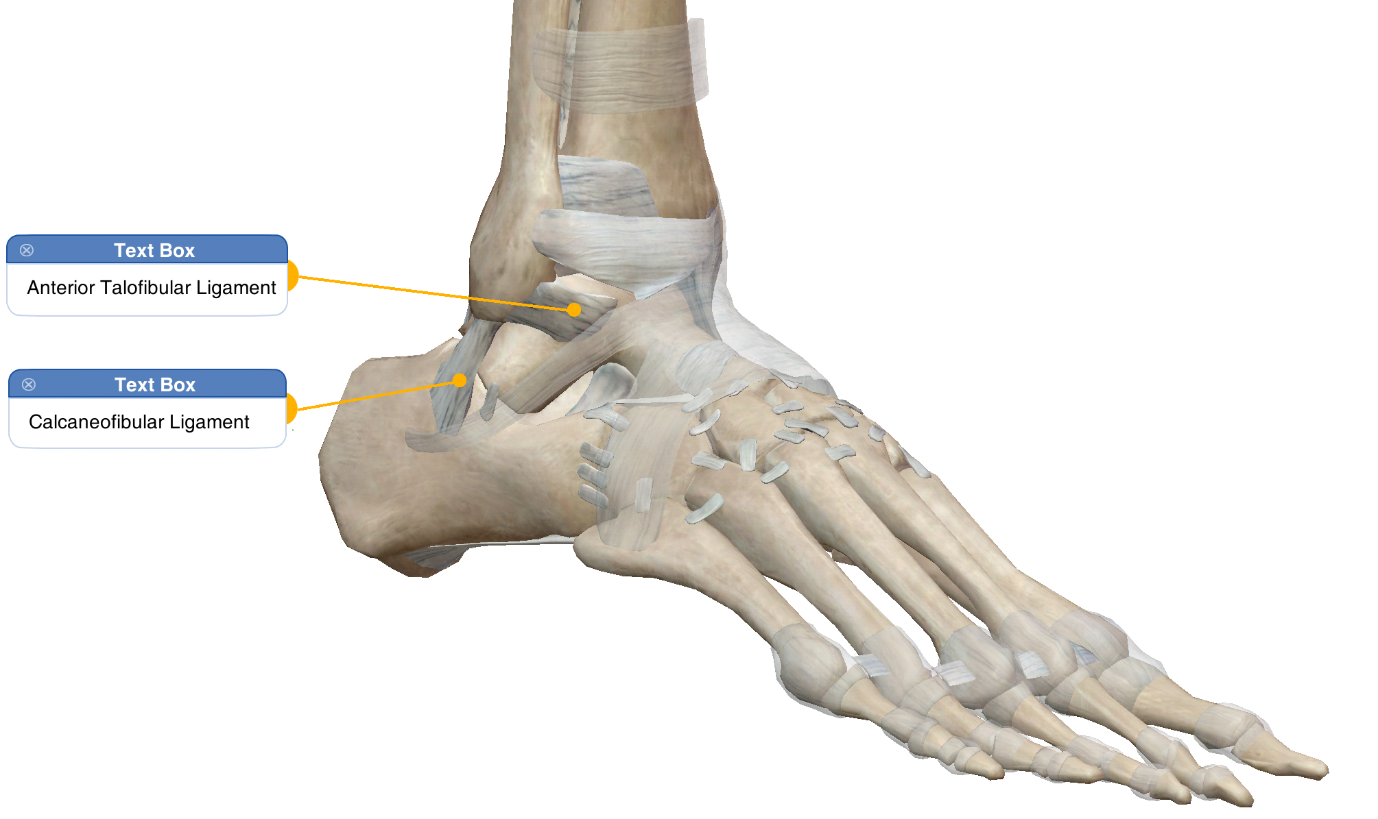 sprain of ankle icd 10