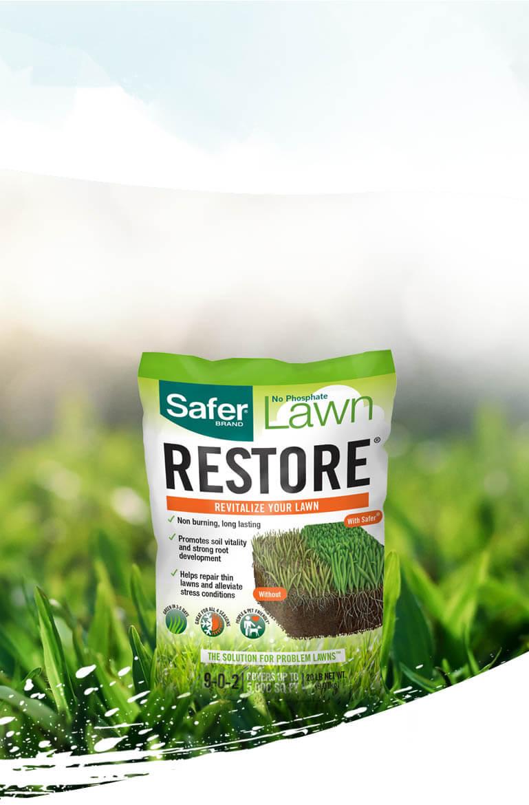 lawn restore