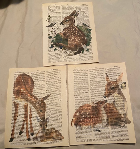 fawn dictionary
