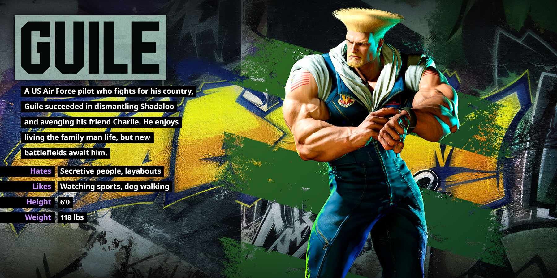 guile sf6