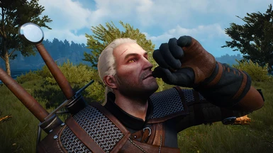complete animations witcher 3