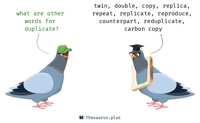 duplicate synonym