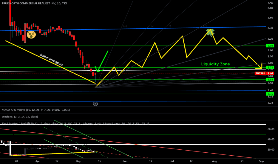 tnt.un stock