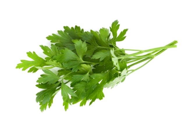 parsley en español